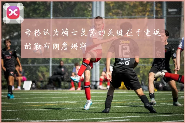 蒂格认为骑士复苏的关键在于重返的勒布朗詹姆斯